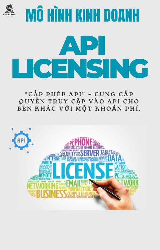 Mô hình cấp phép API (API licensing Business Model)